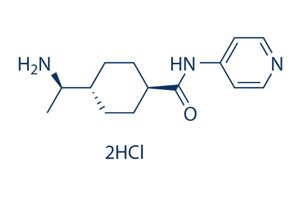 Y-27632 2HCL