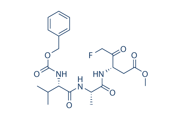 Z-VAD(OMe)-FMK