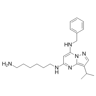 BS-181 free base